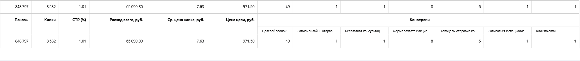 Директ: первый месяц, расход и цели